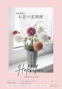 webデザイン　フライヤー　インスタグラムデザイン　インスタ運用
