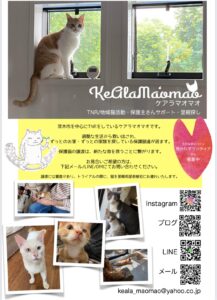 webデザイン　フライヤー　インスタグラムデザイン　インスタ運用